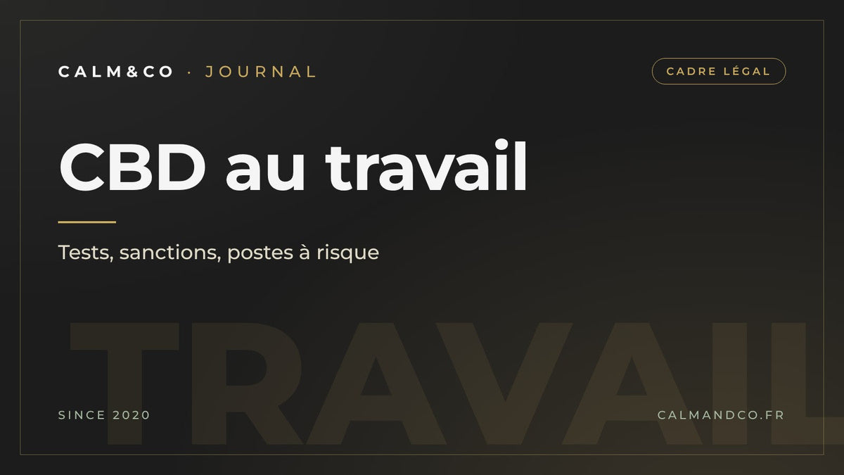 CBD au travail : tests, sanctions, postes à risque, article du Journal Calm&Co Image