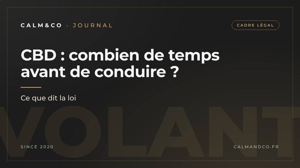 CBD : combien de temps avant de conduire, ce que dit la loi, article du Journal Calm&Co