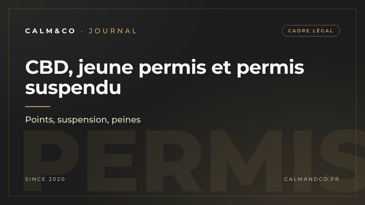 CBD, jeune permis et permis suspendu : points, suspension, peines, article du Journal Calm&Co Image