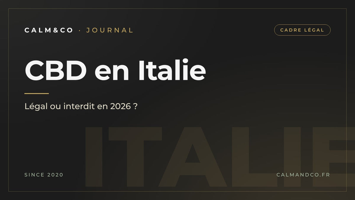 CBD en Italie : légal ou interdit en 2026, article du Journal Calm&Co Image