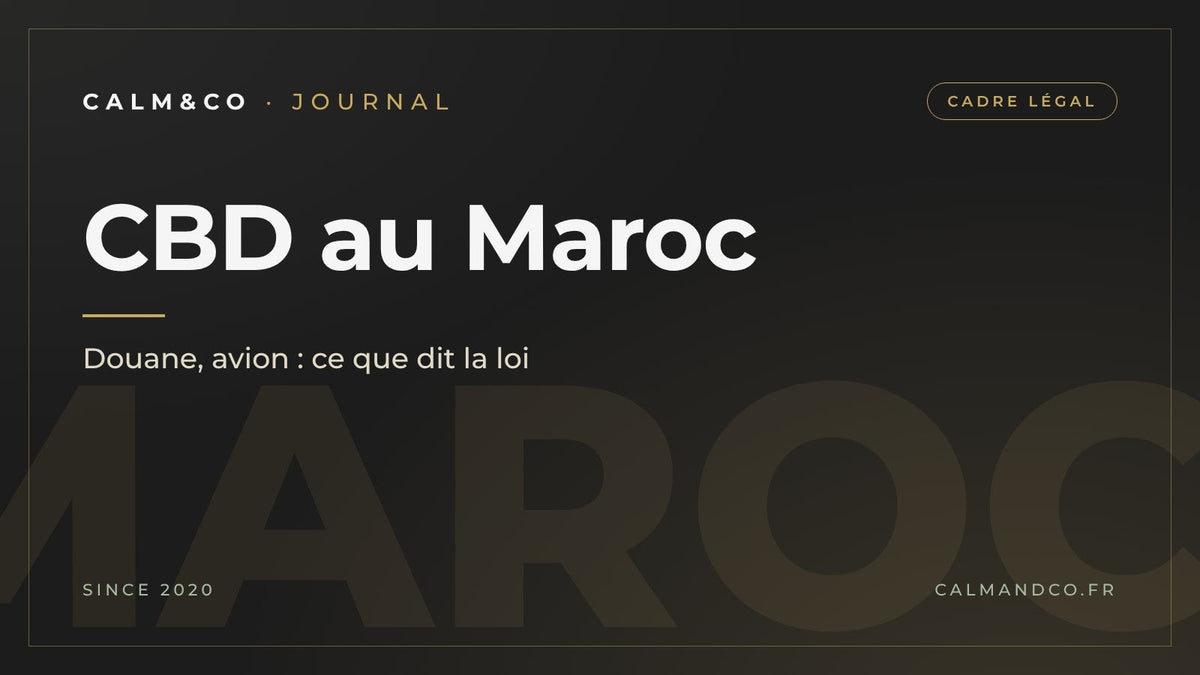 CBD au Maroc : douane, avion, ce que dit la loi, article du Journal Calm&Co