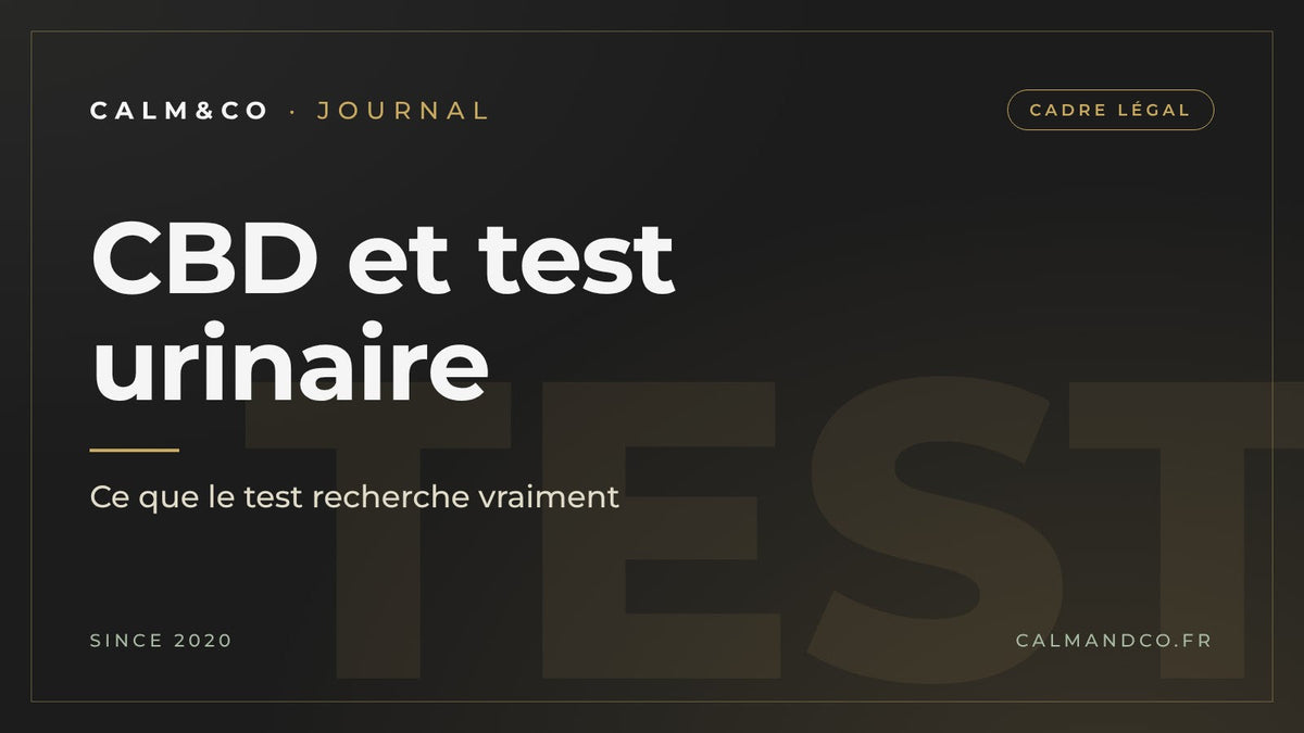 CBD et test urinaire : ce que le test recherche vraiment, article du Journal Calm&Co Image