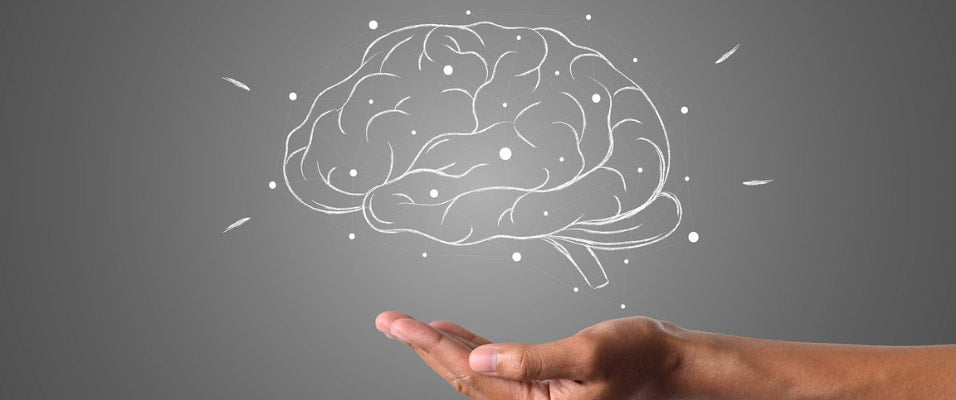 🧠 Le CBD stimule la circulation sanguine du cerveau : un atout pour la mémoire et la clarté mentale Calm&Co Image