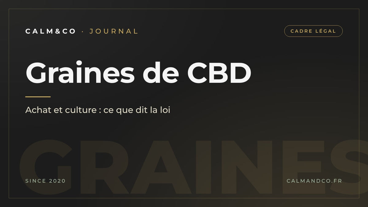 Graines de CBD : achat et culture, ce que dit la loi, article du Journal Calm&Co Image