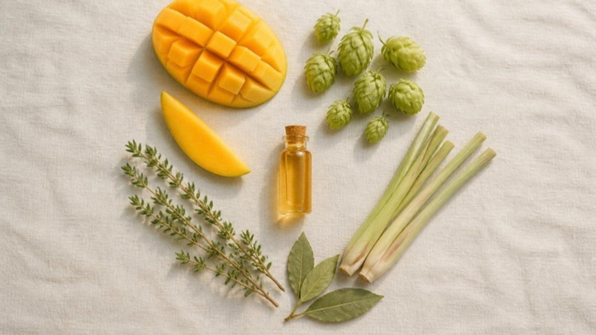 Tranches de mangue, cônes de houblon, thym et citronnelle sur un lin clair, à côté d'une fiole en verre : les sources naturelles du myrcène