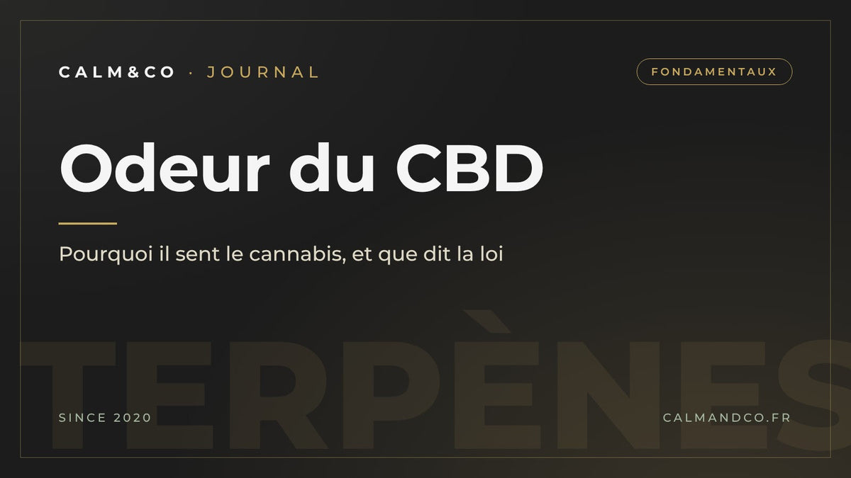 Odeur du CBD : pourquoi il sent le cannabis et que dit la loi, article du Journal Calm&Co Image