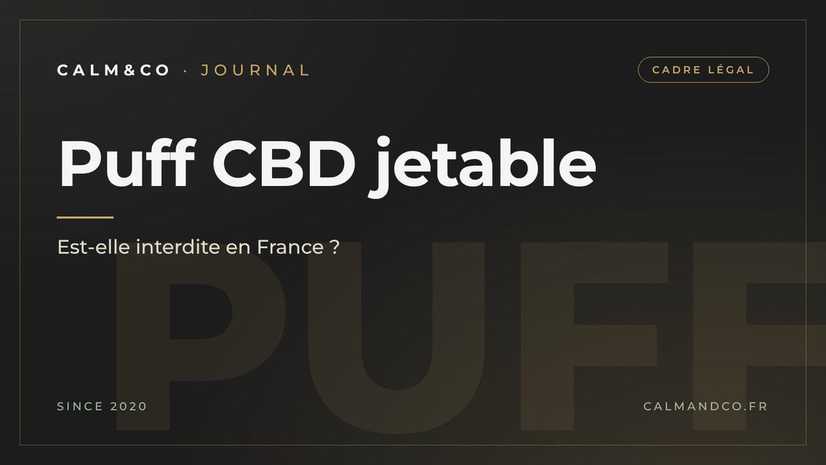 Puff CBD jetable : est-elle interdite en France, article du Journal Calm&Co Image