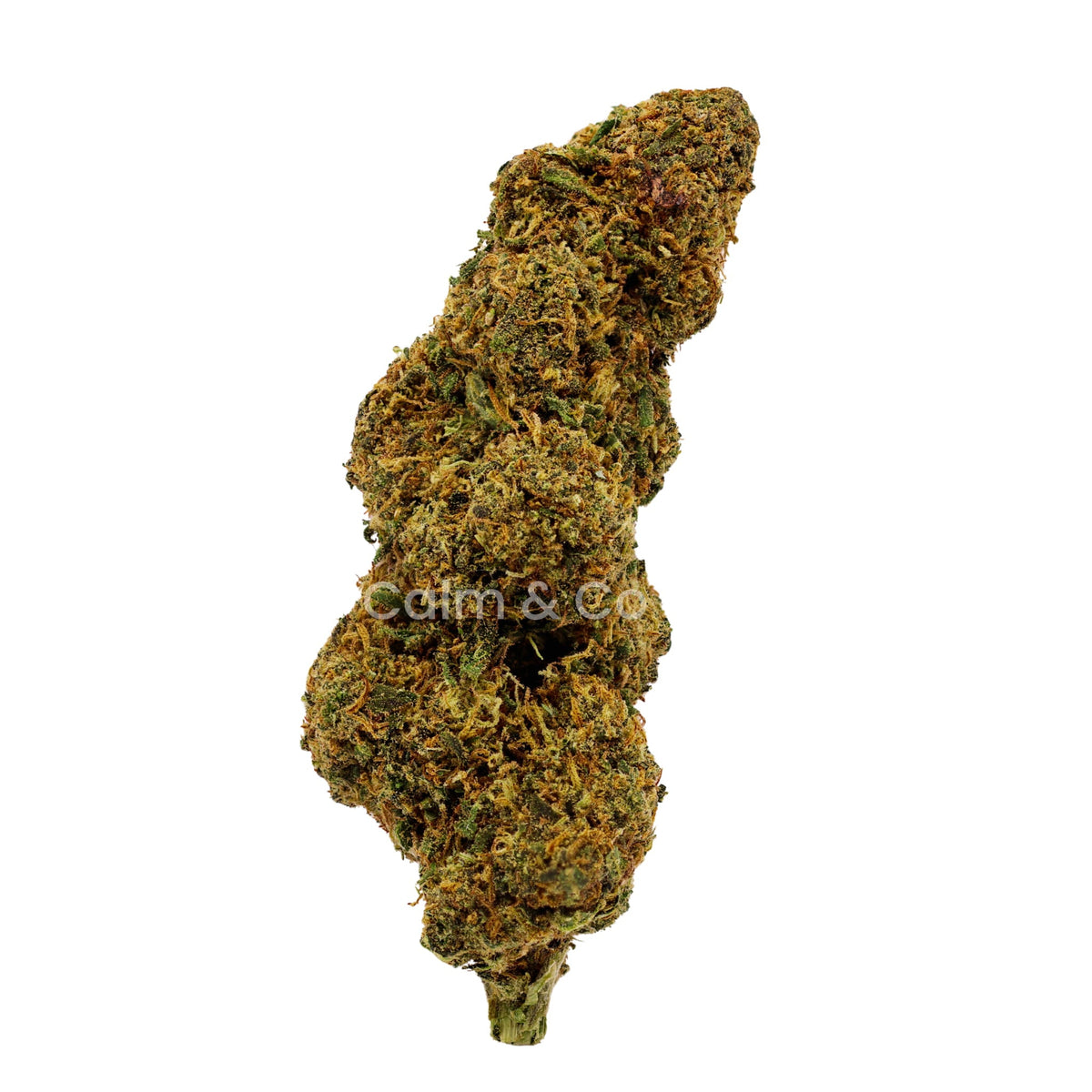 Candy Caramel - Fleurs CBD Outdoor
