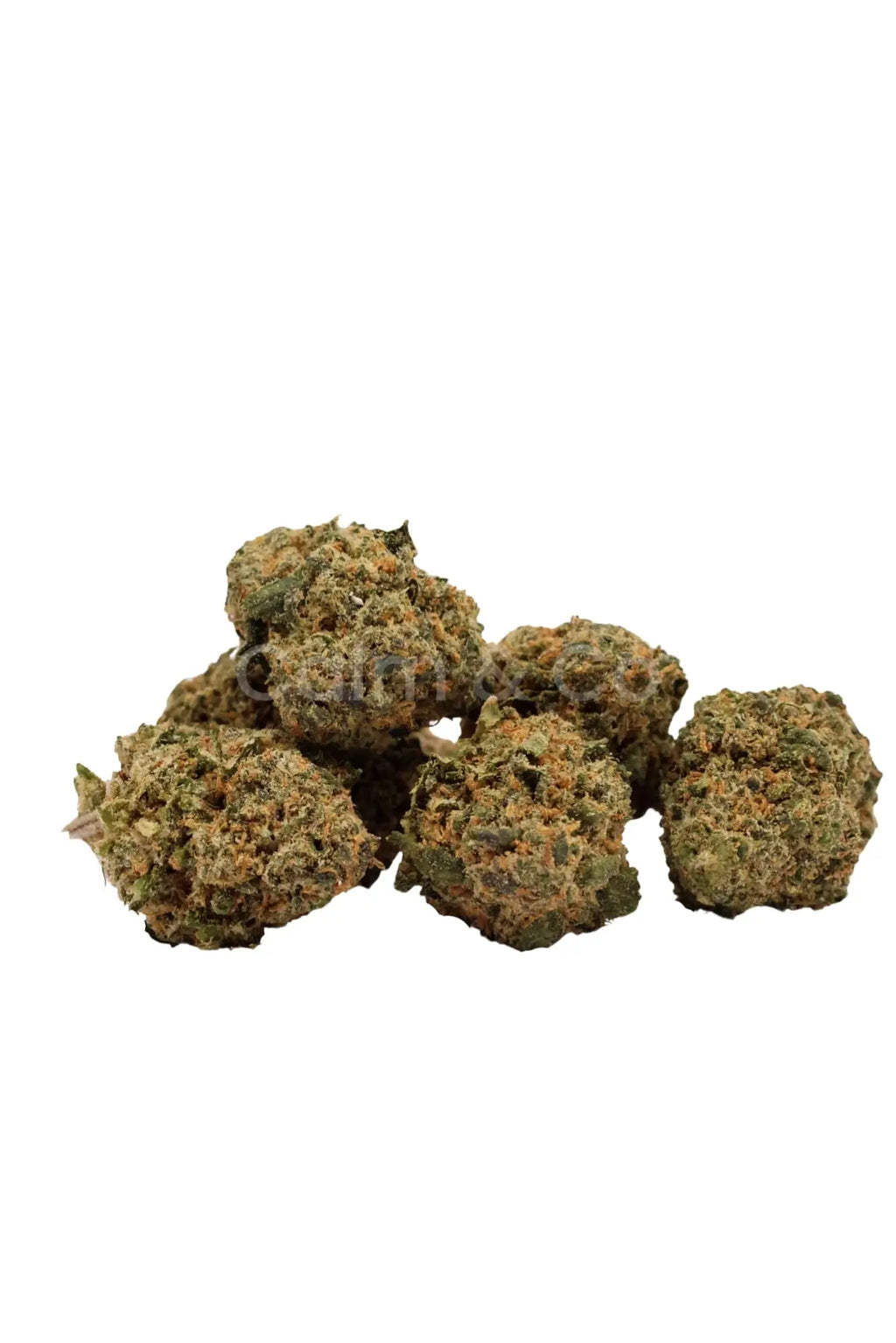 Pine Forêt – Small Bud Calm&Co