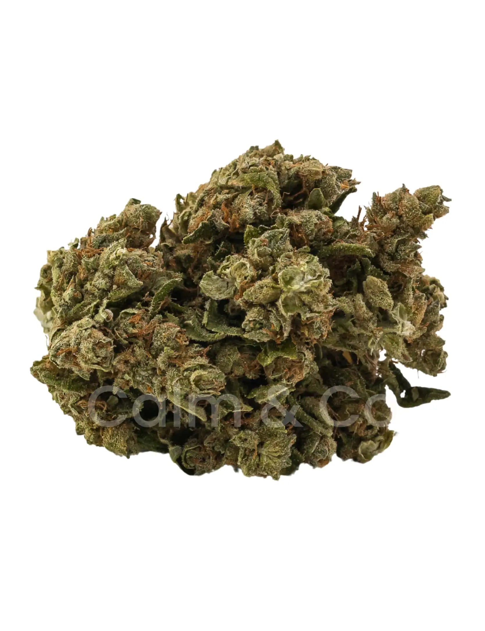 Amnesia – Fleurs CBD Outdoor Calm&Co