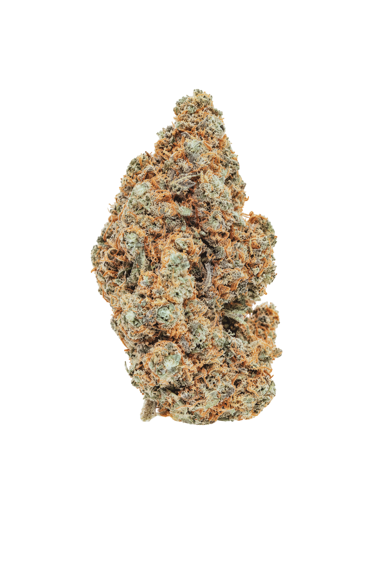 blueberry indoor CBD
