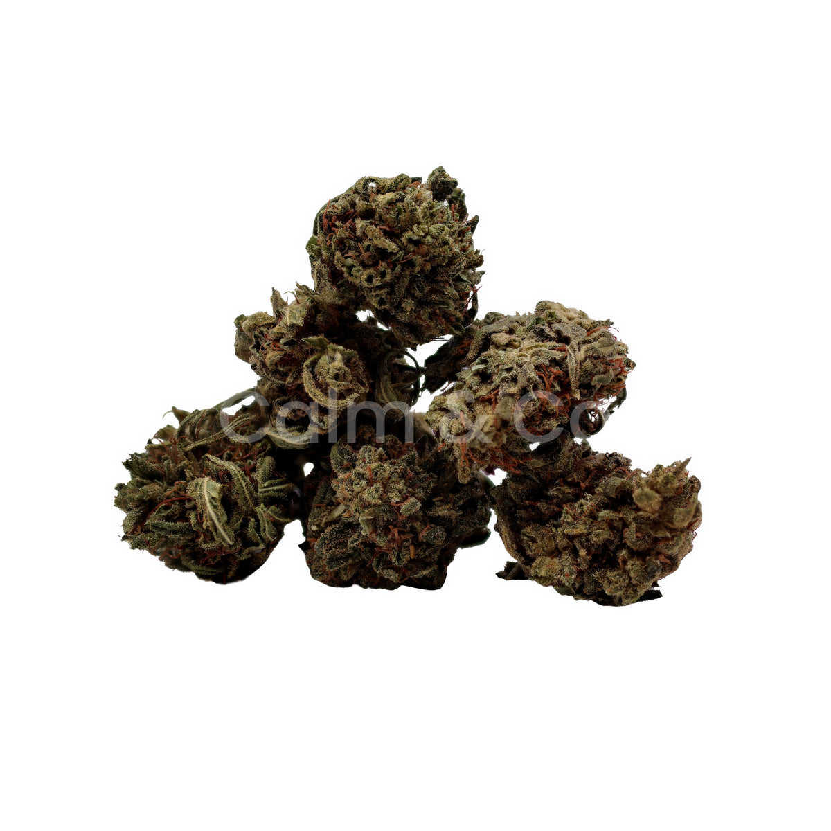 Chemberry US – Small Bud