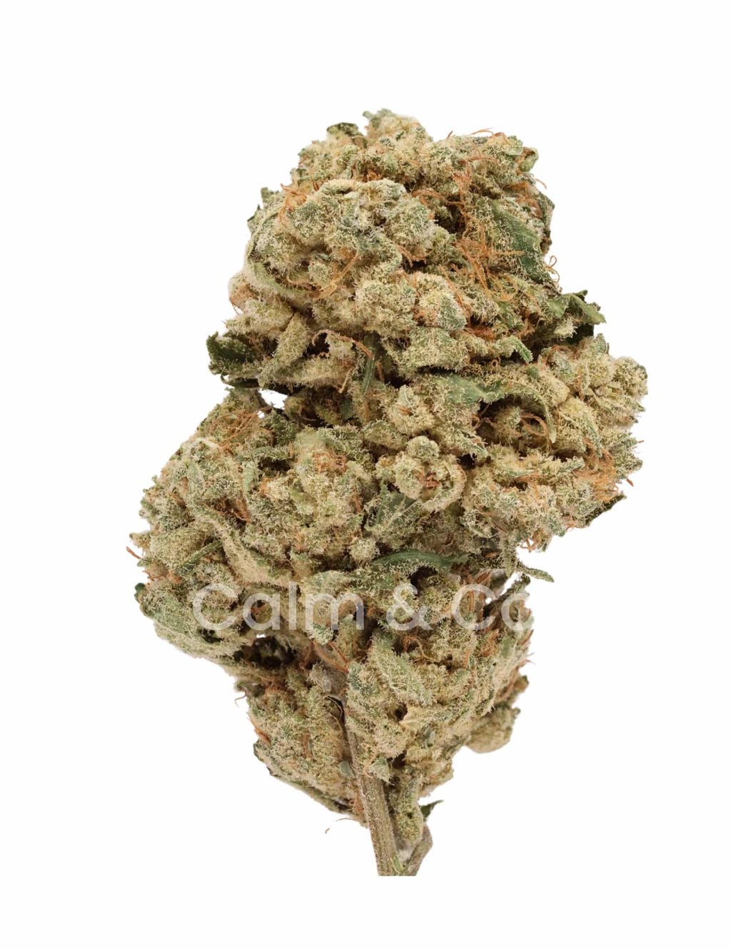 G13 – Fleur de CBD Indoor Calm&Co