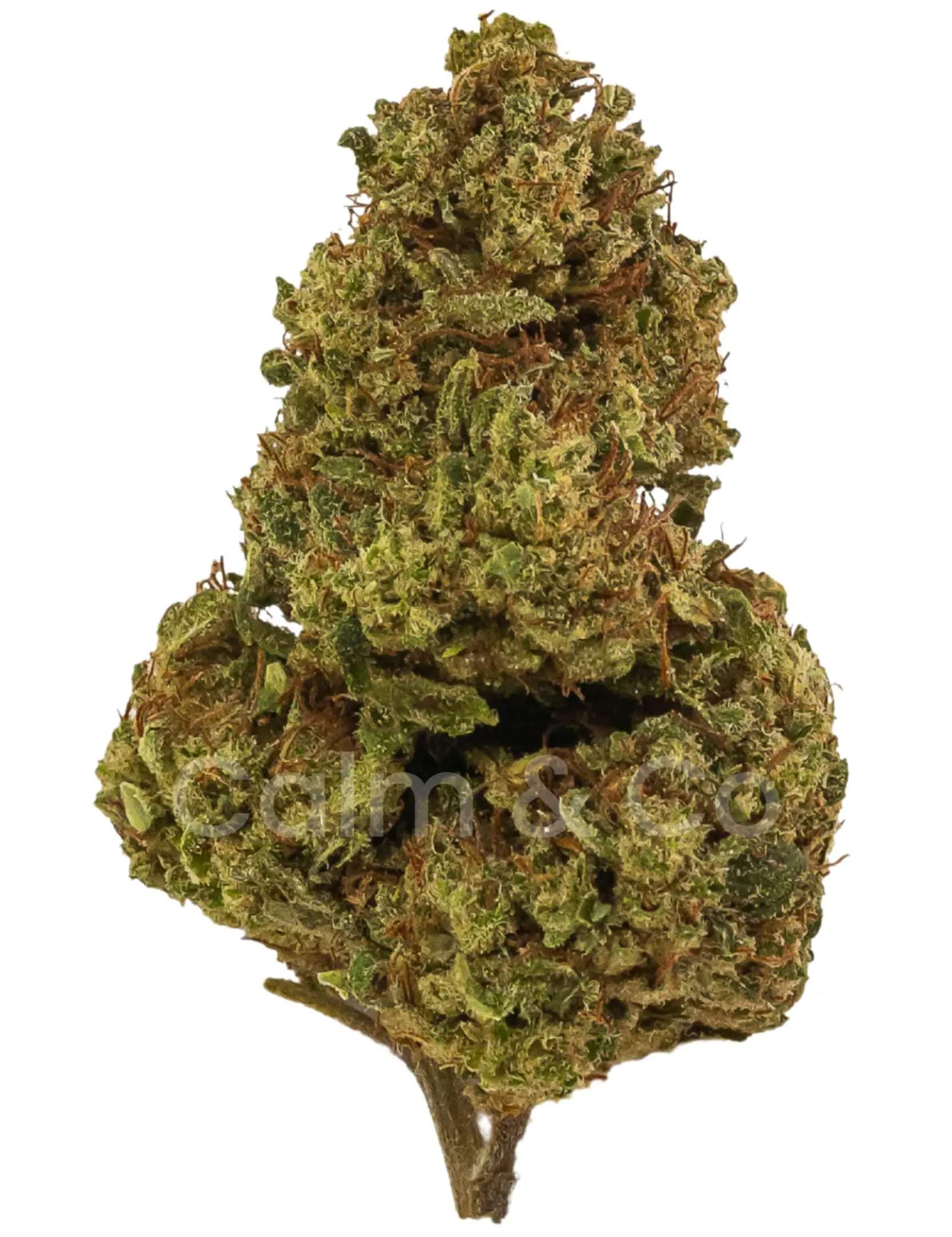 Gelato – Fleurs CBD Indoor Calm&Co