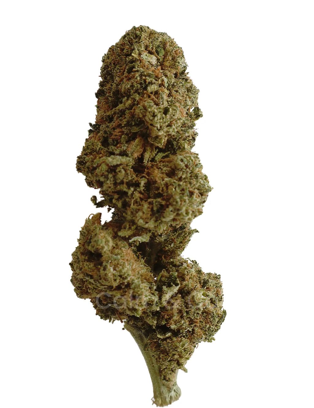 Honey Chesse – Fleurs CBD Outdoor Calm&Co