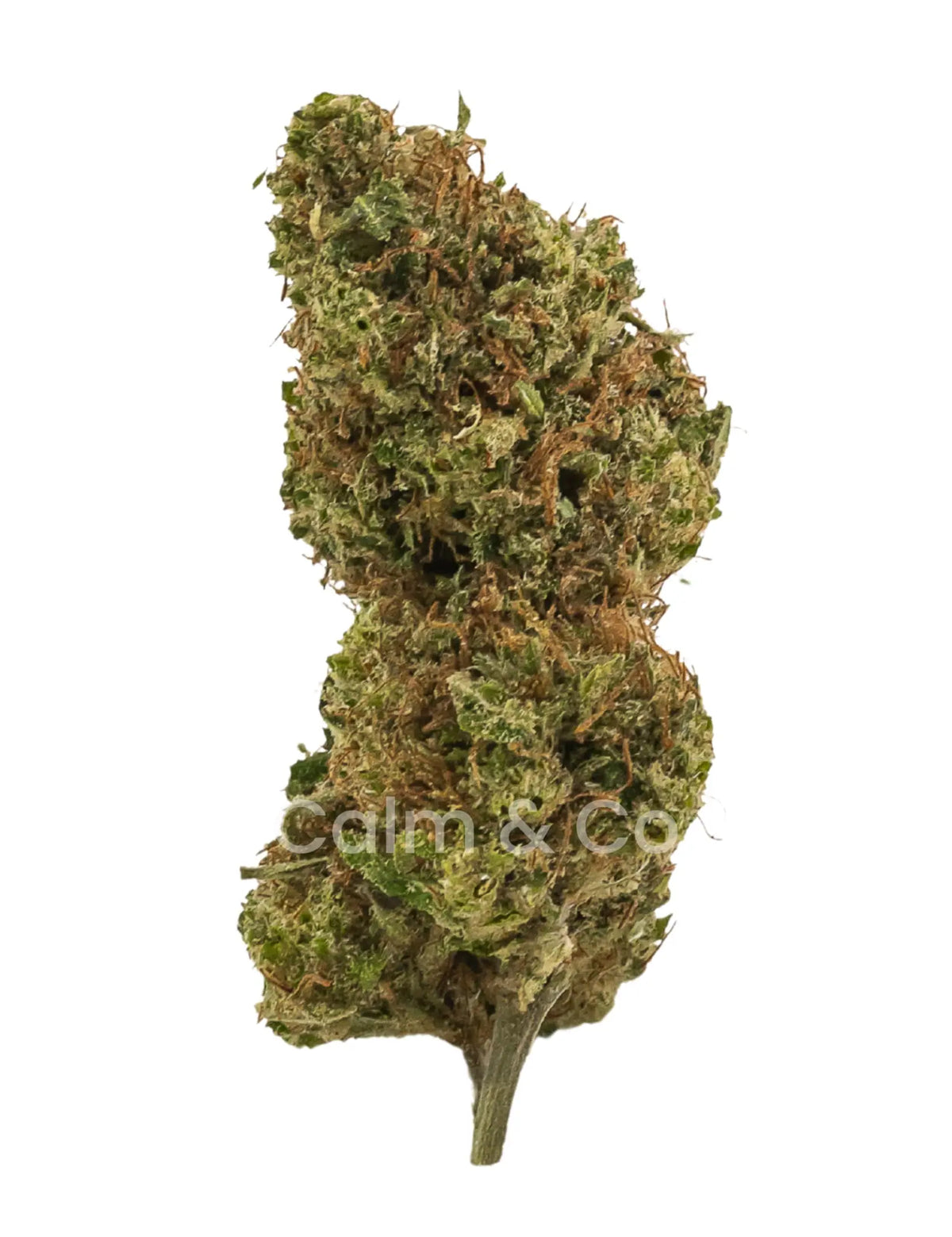 Lemon Haze Outdoor CBD Calm&Co