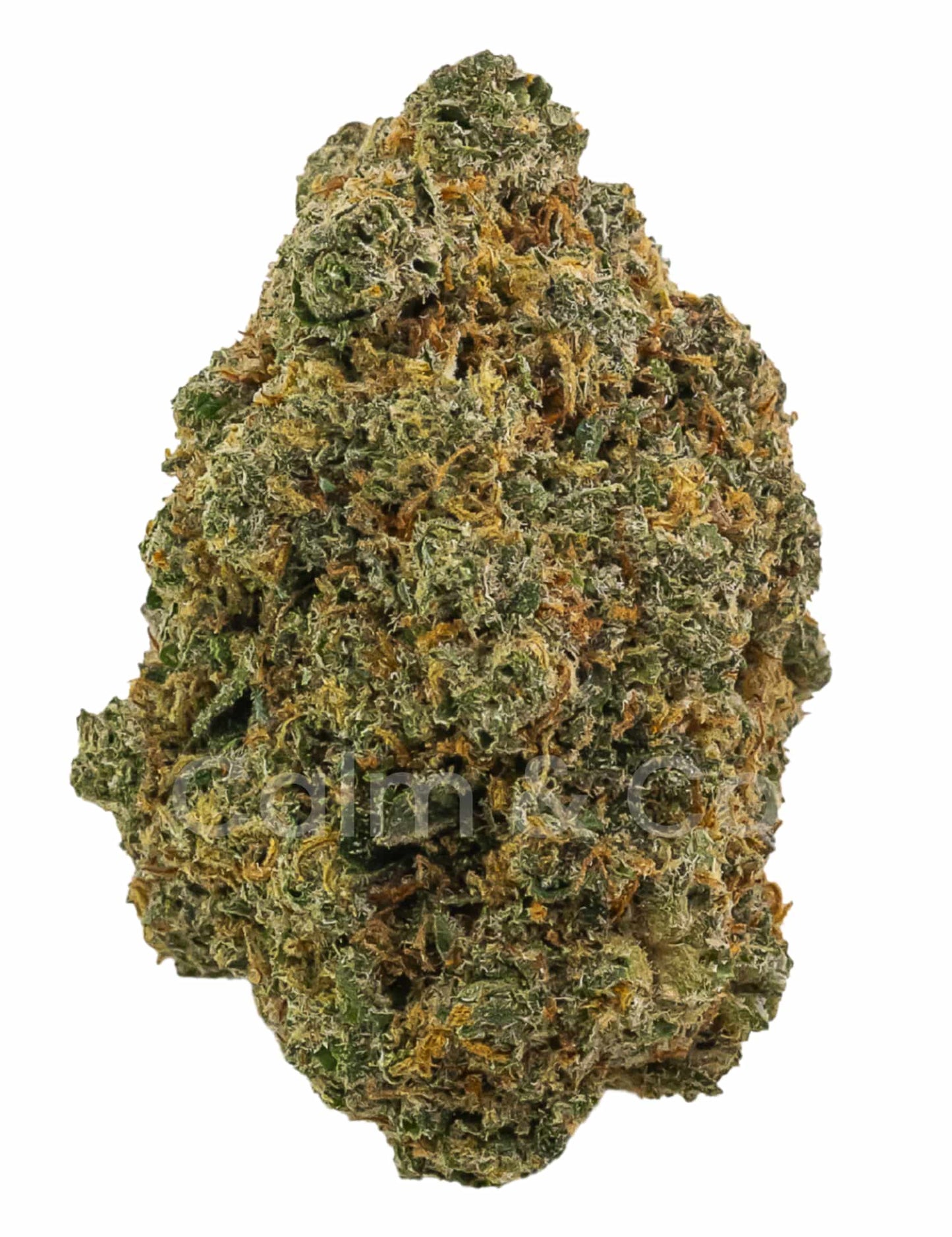 Mango Cruise – Fleurs CBD Indoor Calm&Co