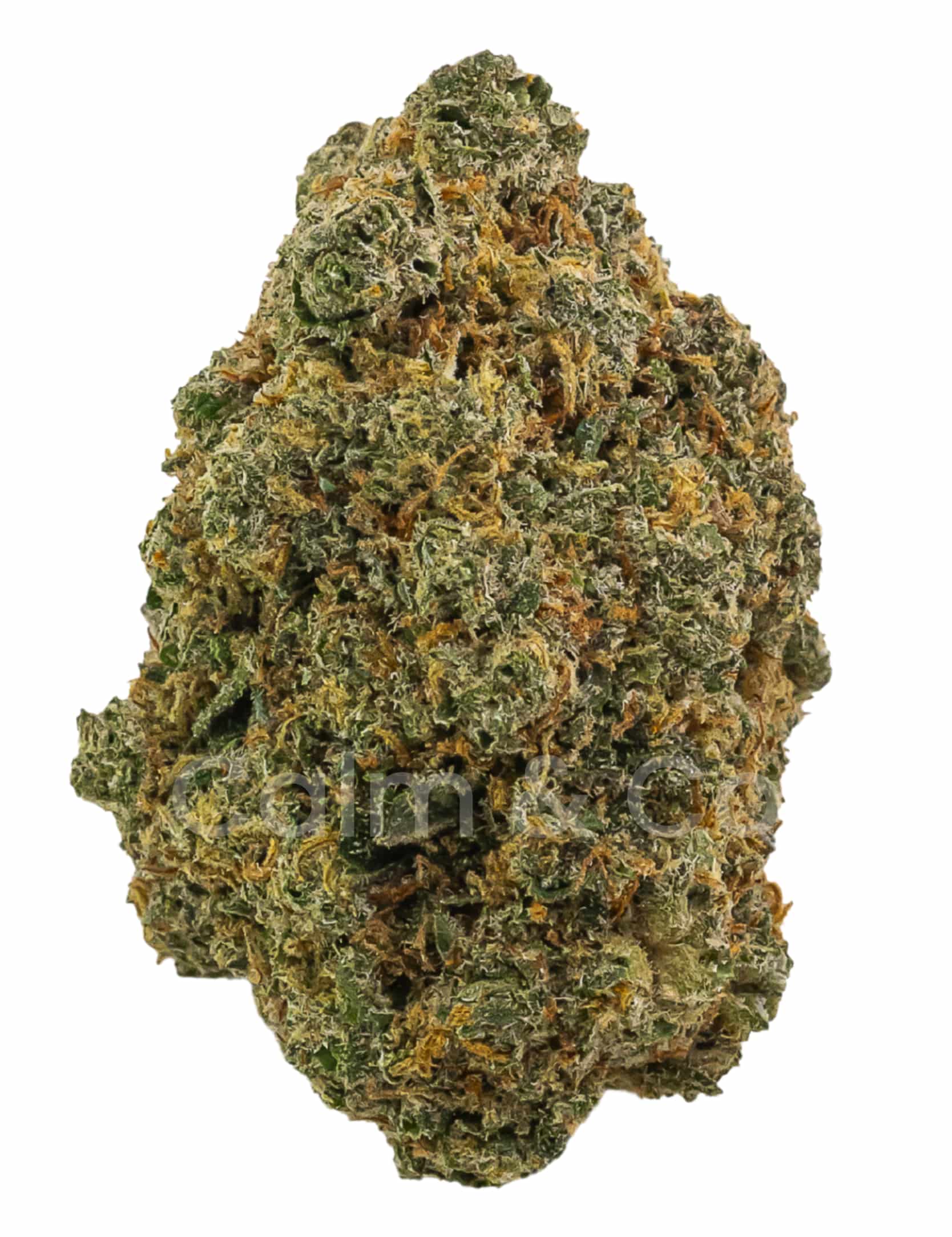 Mango Cruise – Fleurs CBD Indoor Calm&Co