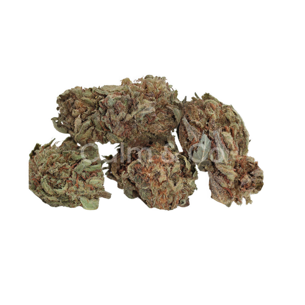 Royal OG – Small Bud Calm&Co