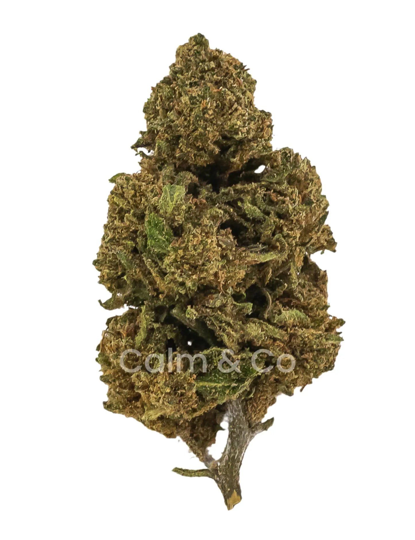 Remedy kush Outdoor CBD Calm&Co