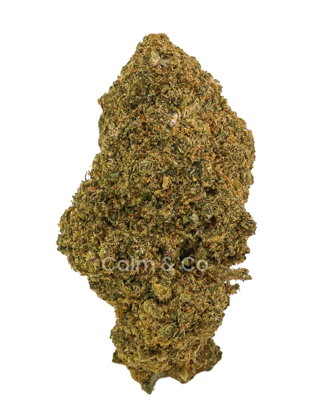 AK 47 indoor Calm&Co
