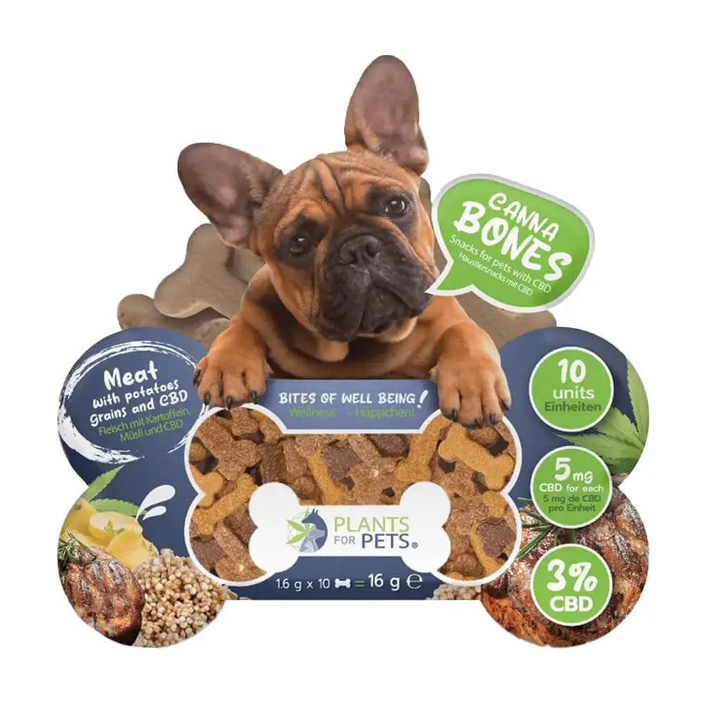 Friandises CBD pour Animaux Cannabones – Sachet de 10 pièces R-Labs
