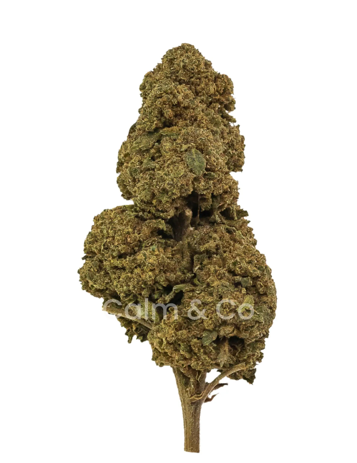 White Window Outdoor CBD Calm&Co